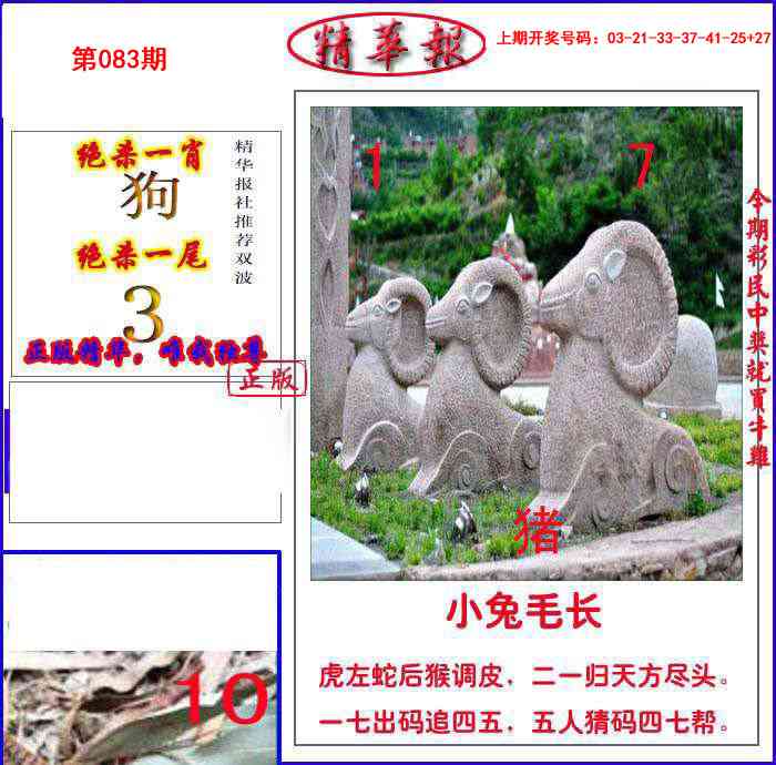 083期新精华报报[图]